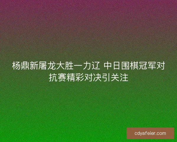 杨鼎新屠龙大胜一力辽 中日围棋冠军对抗赛精彩对决引关注