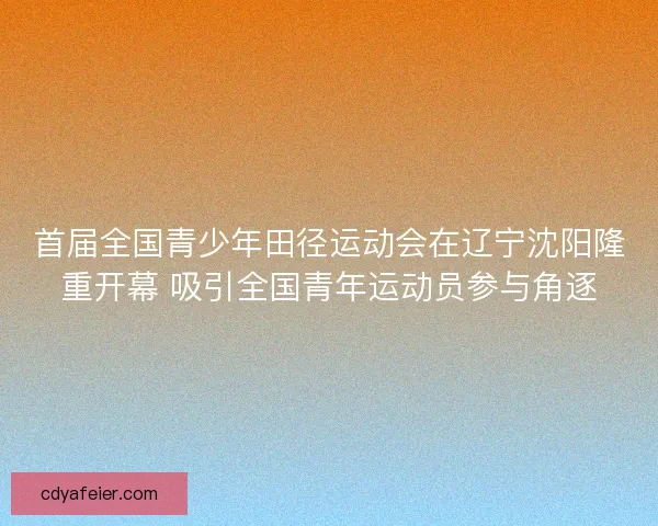 首届全国青少年田径运动会在辽宁沈阳隆重开幕 吸引全国青年运动员参与角逐