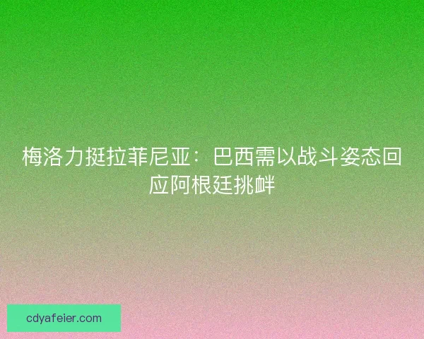 梅洛力挺拉菲尼亚：巴西需以战斗姿态回应阿根廷挑衅