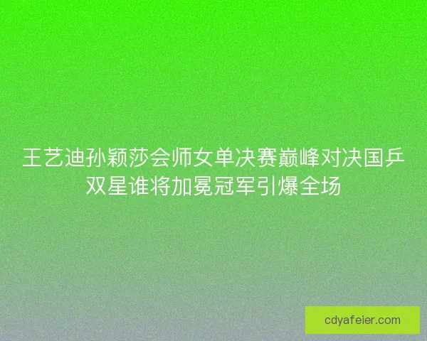 王艺迪孙颖莎会师女单决赛巅峰对决国乒双星谁将加冕冠军引爆全场