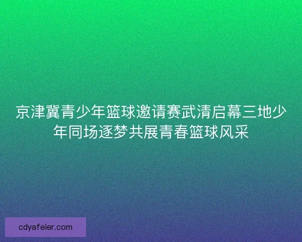 京津冀青少年篮球邀请赛武清启幕三地少年同场逐梦共展青春篮球风采 京津冀青少年篮球邀请赛武清启幕三地少年同场逐梦共展青春篮球风采